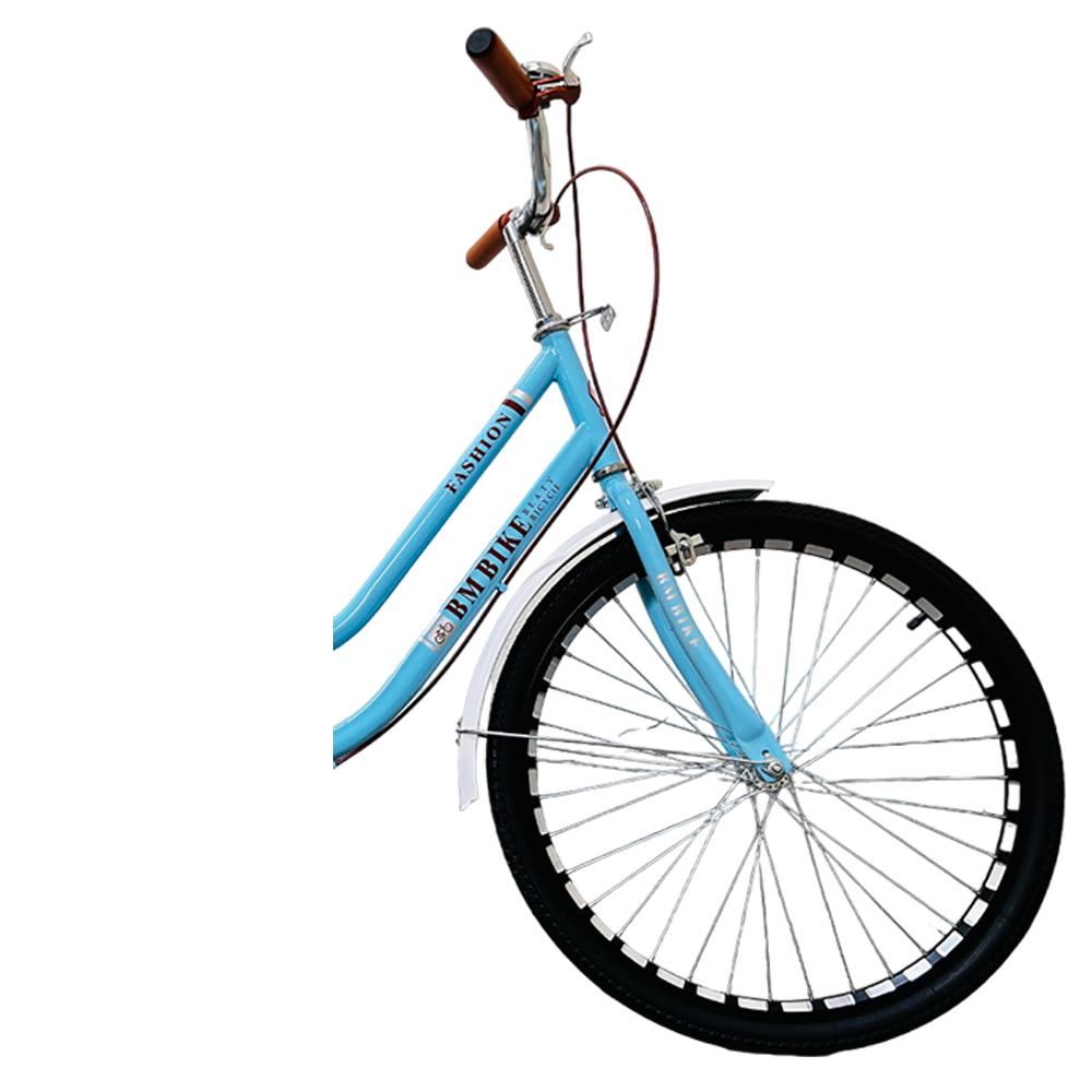 Bicicleta Para Adulto Rodada 24 Vintage Azul