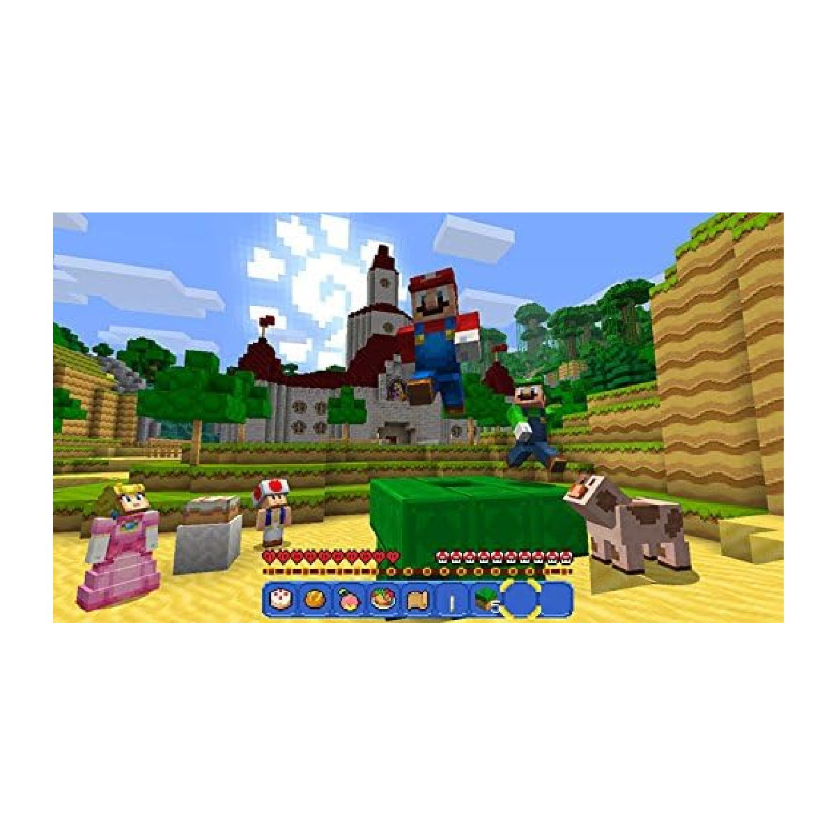 Minecraft Nintendo Switch.