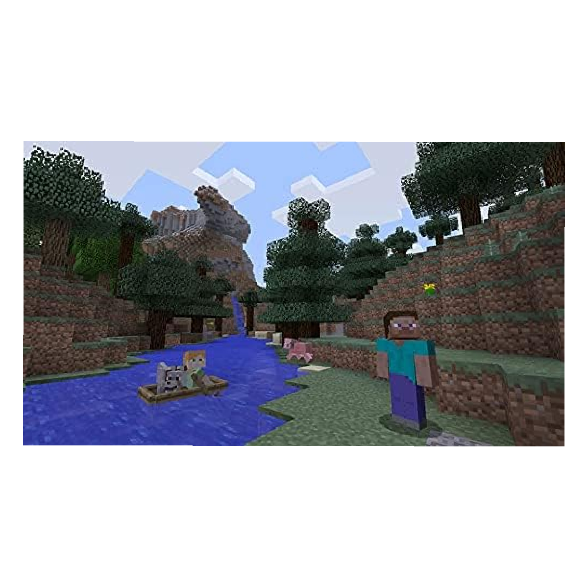 Minecraft Nintendo Switch.