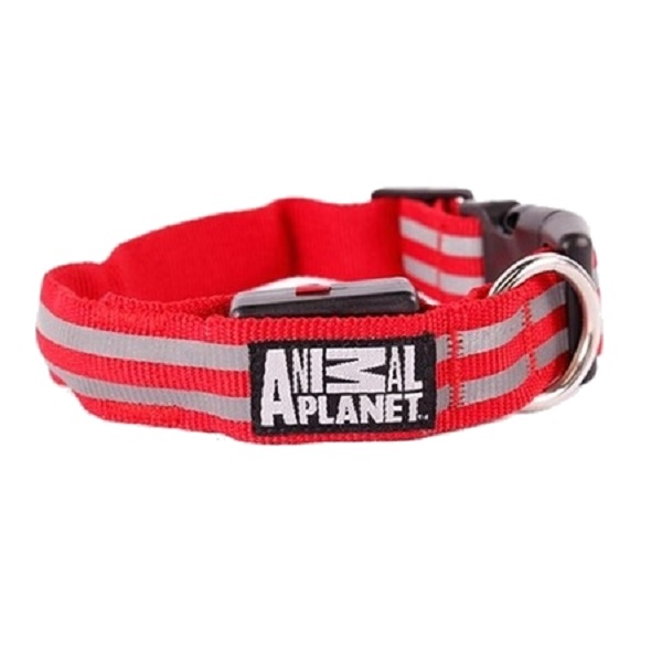 Collar Para Perro Con Led Y Antireflejante Chico Rojo