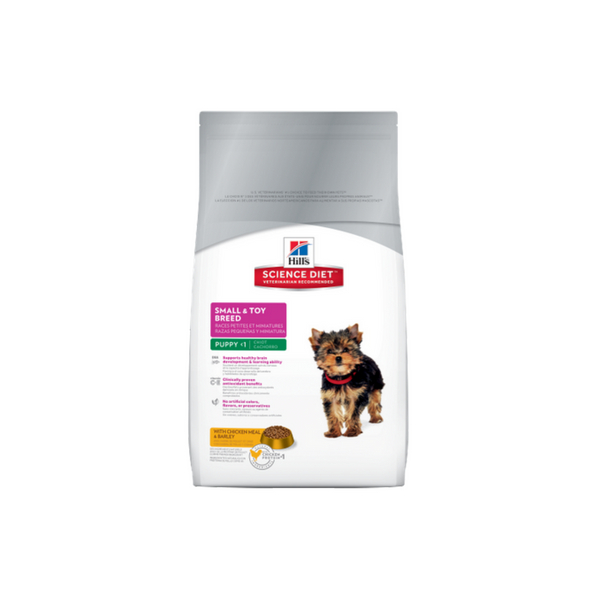 Small And Toy Puppy 2 Kg Hills