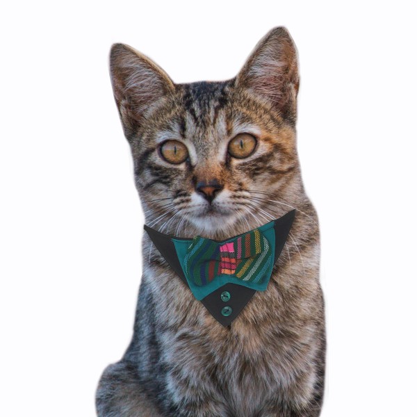 Cuellito Elegante Y Mexicano Para Gatitos Marca El Rebozo De Dolce