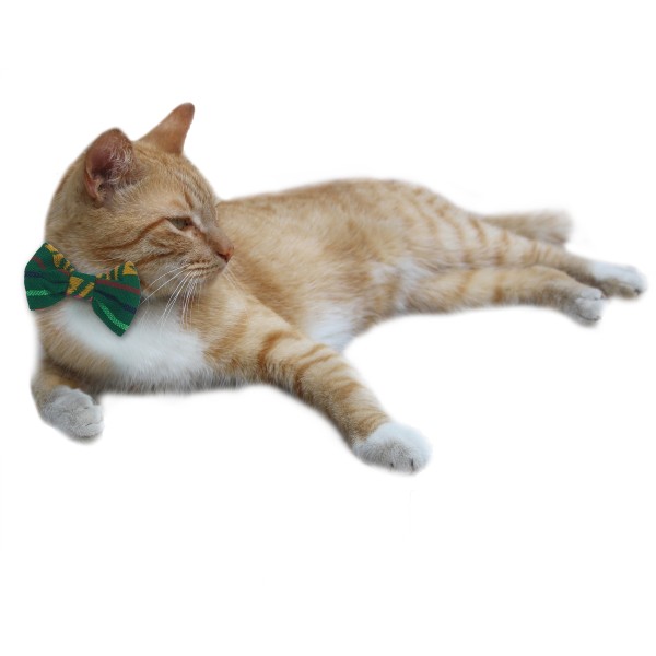Moño Color Verde Con Estilo Mexicano Para Gatos Marca El Rebozo De Dolce