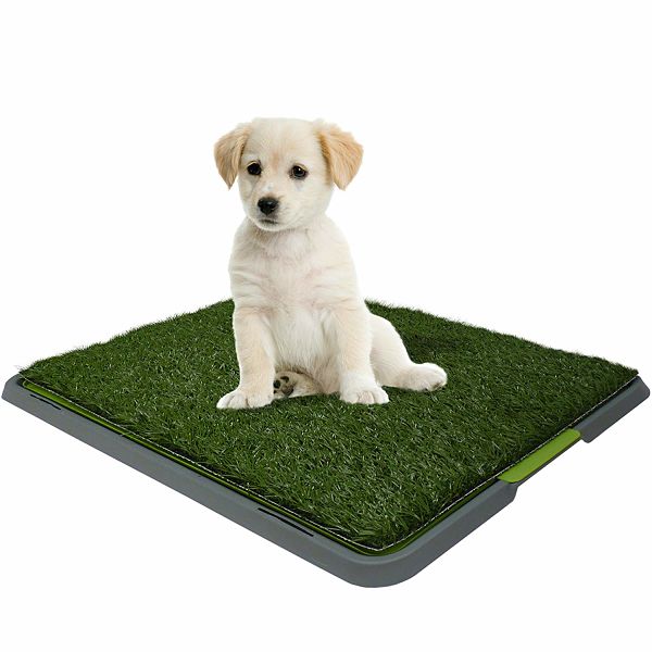 Doggy Patch Tapete Entrenador De Cachorros