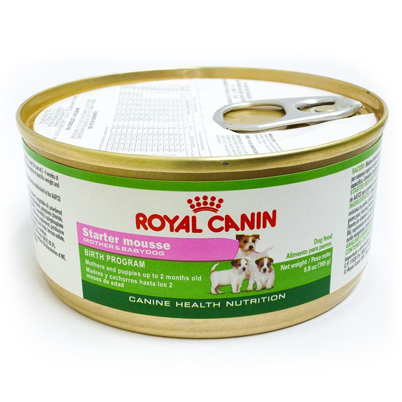 Royal Canin Mousse Para Mamás Gestantes Y Lactantes Y Cachorros
