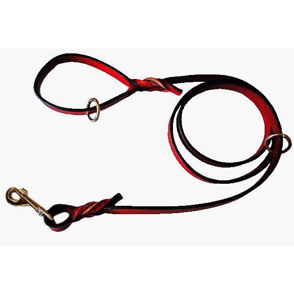 Correa De Piel Para Manejo Y Control Con Seguro De Bronce De 1X180Cm