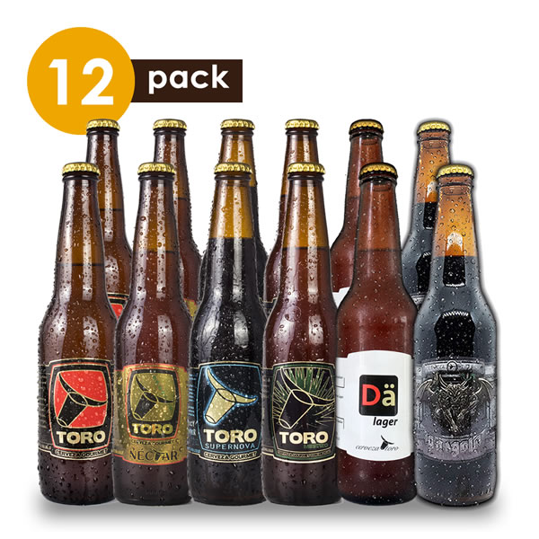 Cerveza Artesanal Toro Cervexxa Beerpack 12