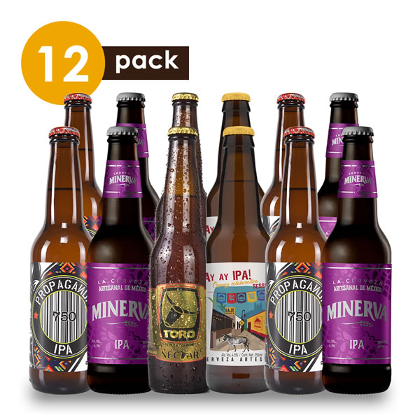 Cerveza Artesanal Ipa 2 Cervexxa Beerpack 12