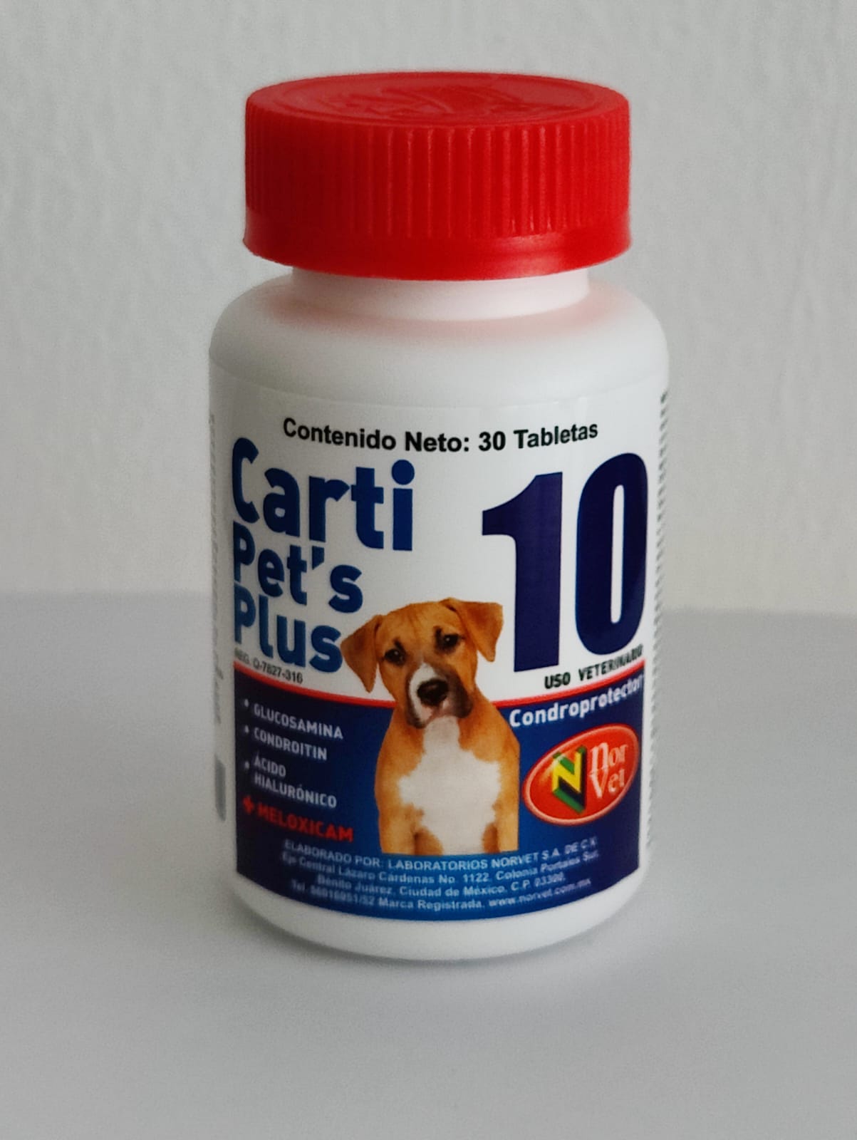 CARTIPETS PLUS 10