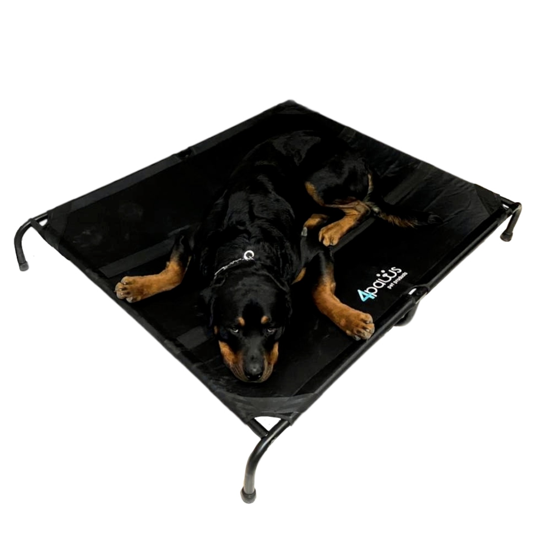 Cama Elevada Extragrande Para Perro, Cuna Elevada Portátil, Cama Para Perro Cuna Elevada Portatil Cama Para Perro A Prueba De Masticar Con Pies Antideslizantes Ajustables Cama