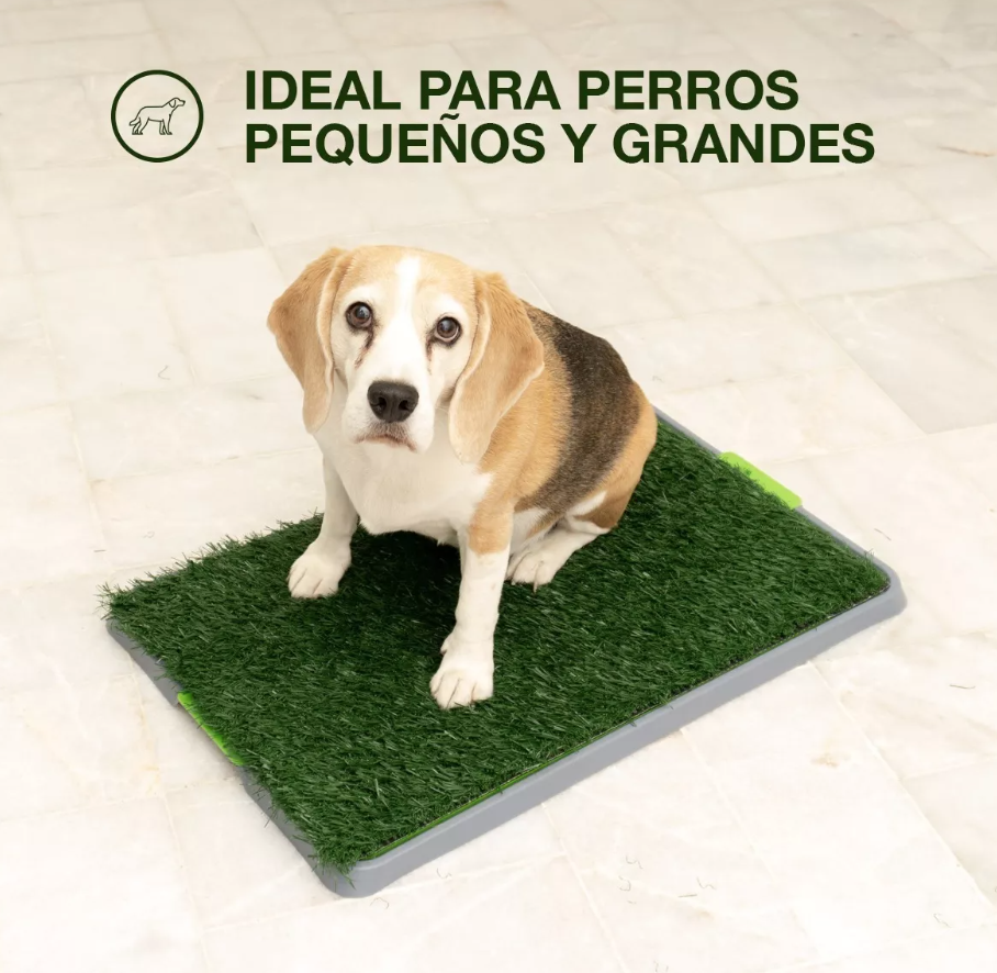 Tapete De Perro Entrenador Para Ir Al Baño.