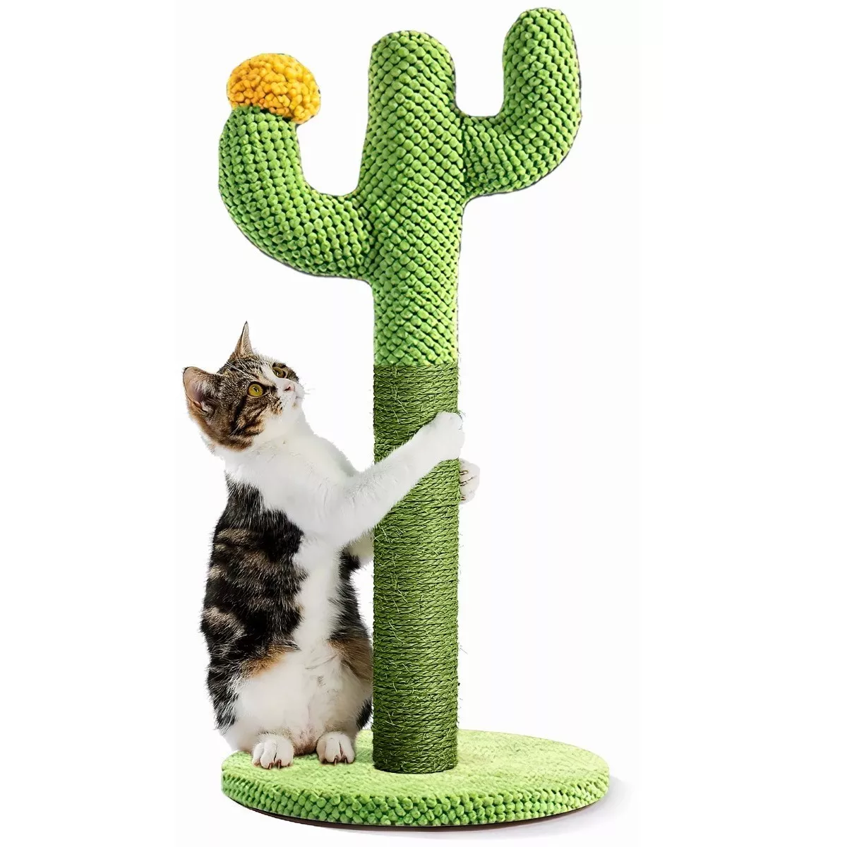 Poste Rascado, 21.25 Pulgadas Rascador Para Gatos Cactus