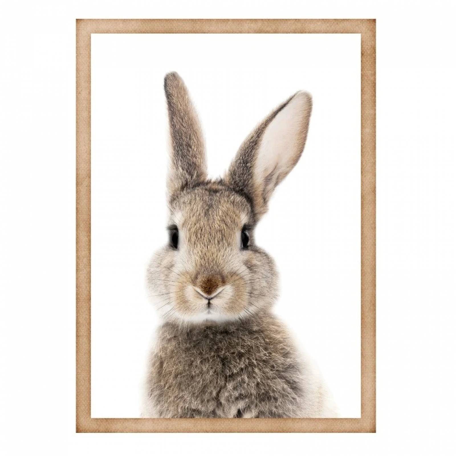 Cuadro Decorativo Bunny Multicolor - Kessa