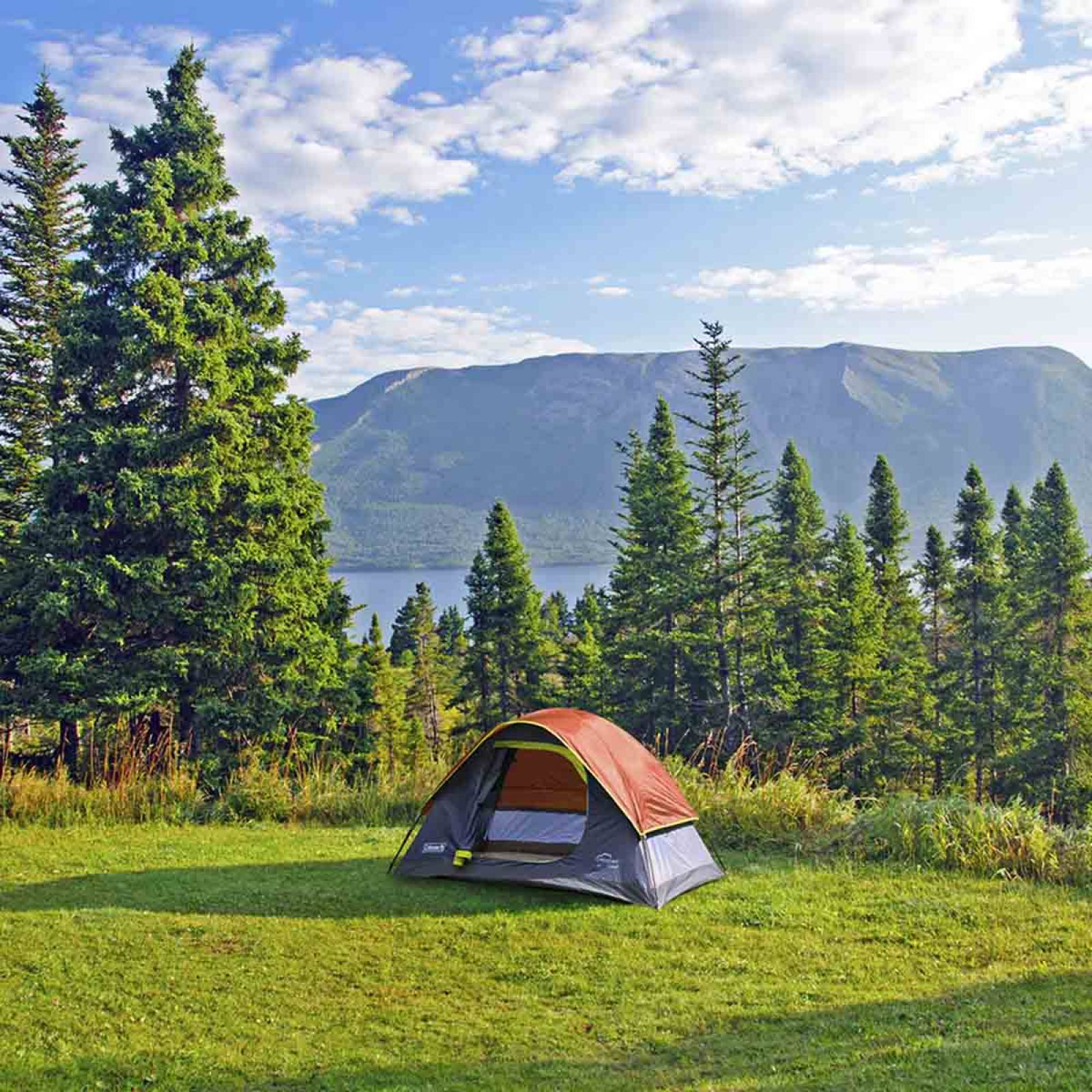 Tienda Casa De Campaña 2 Personas Acampar Portatil Coleman