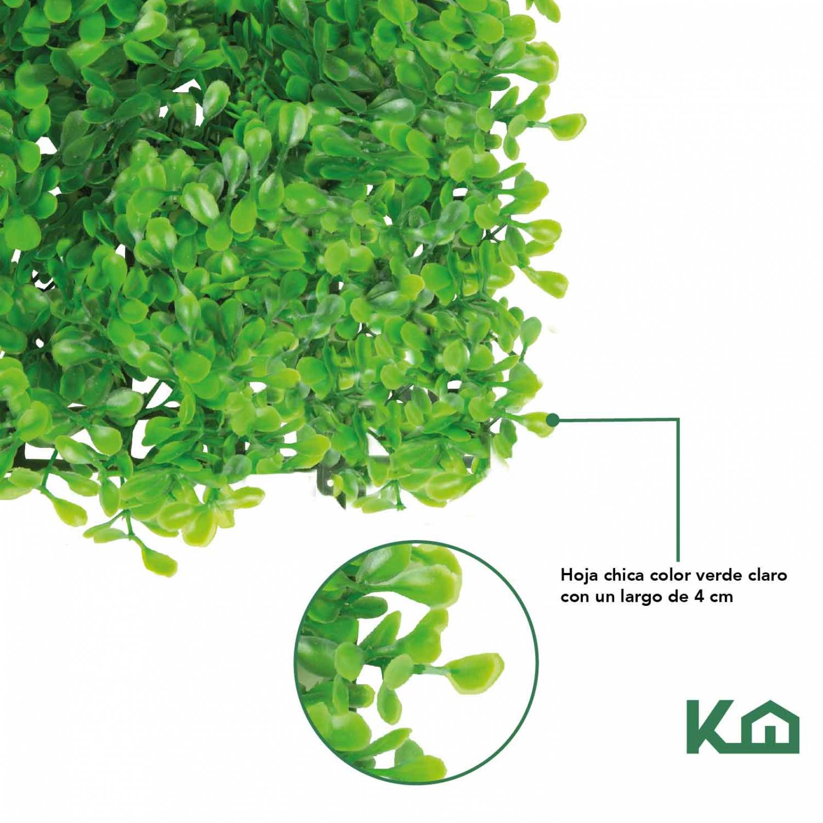 Follaje Artificial Sintetico Muro Verde 60x40cm 5 Pzas Pared 