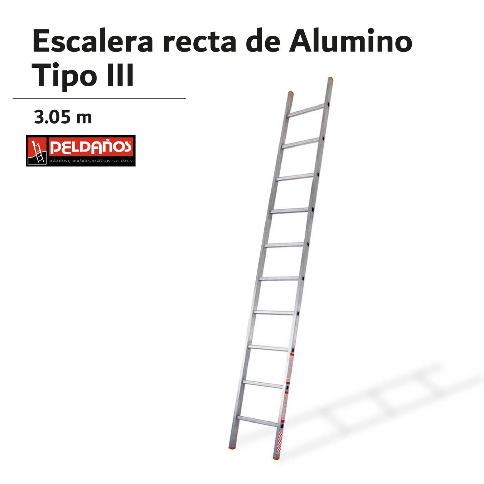 Escalera Recta De 10 Peldaños Tipo Iii Aluminio 100kg 419310 