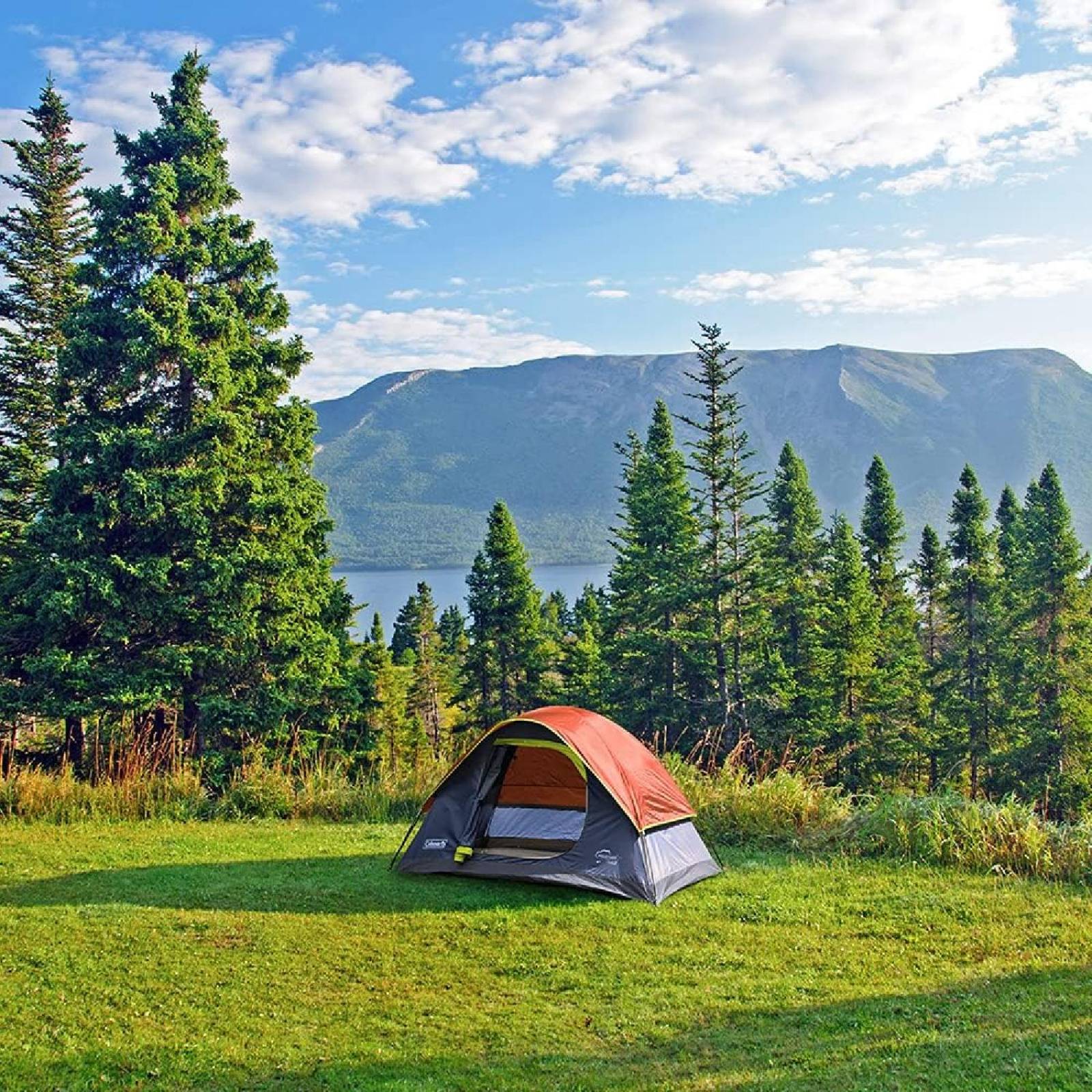 Tienda Casa De Campaña 6 Personas Tulum Impermeable Coleman 