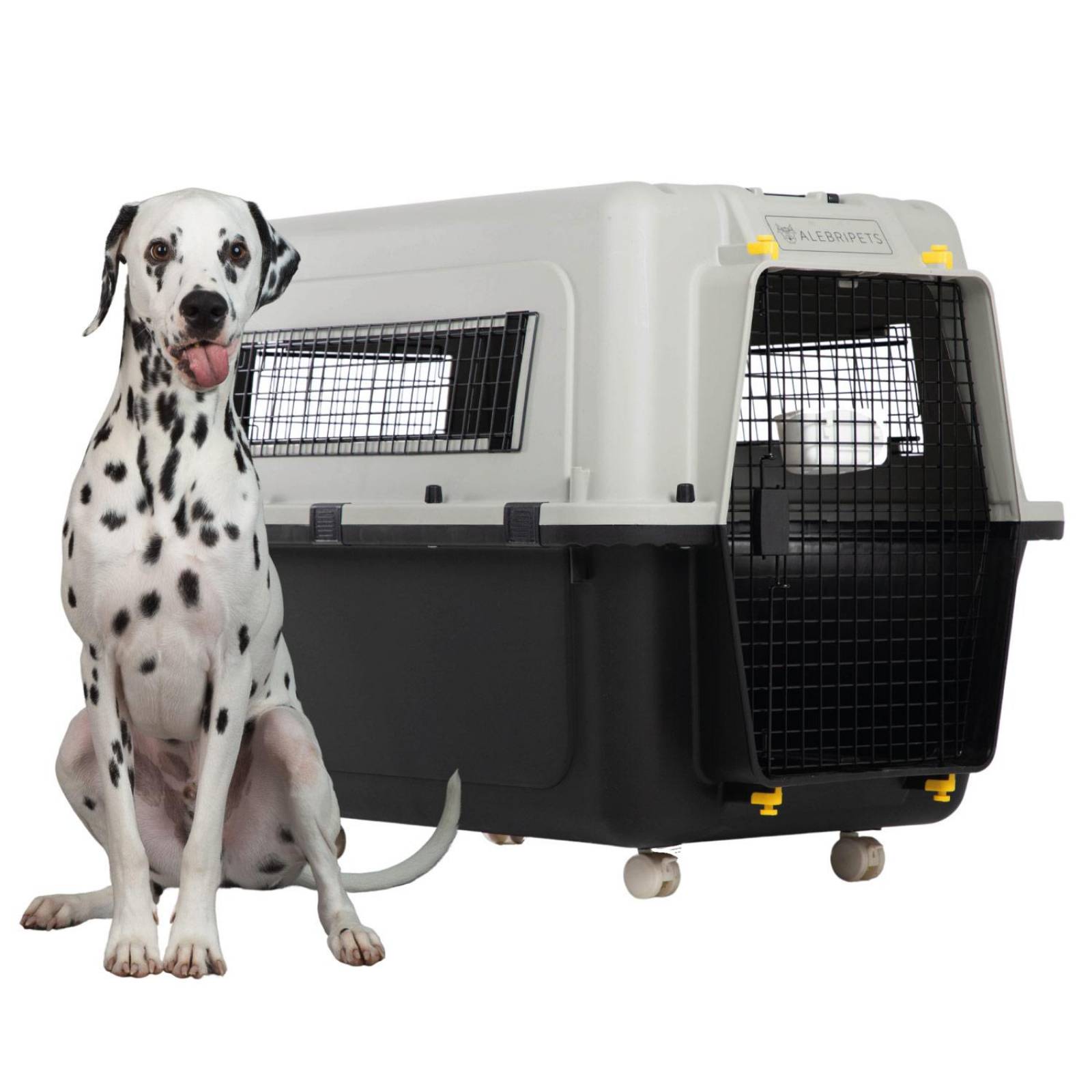 Jaula Transportadora Para Perro IATA 103x73x78 cm 