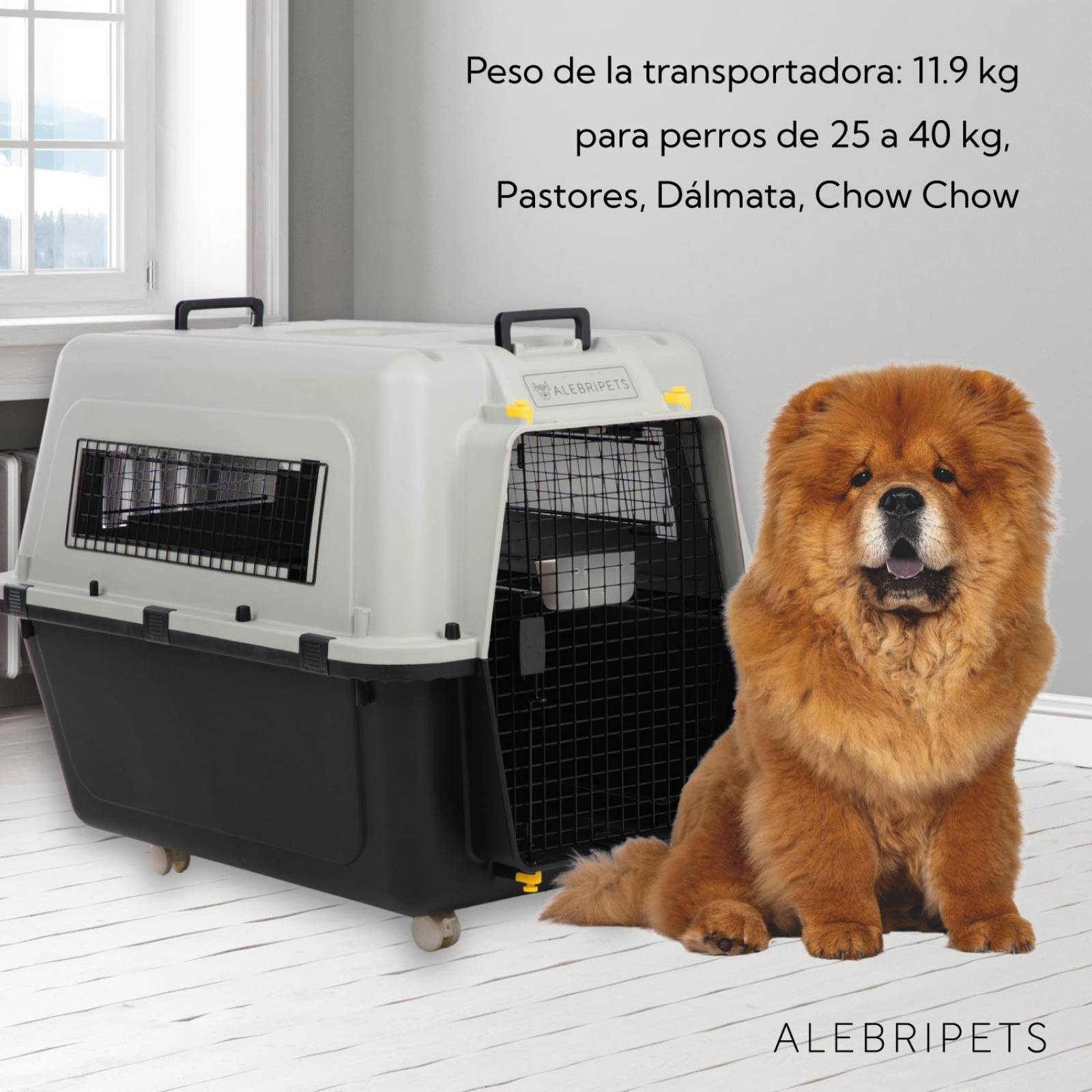 Jaula Transportadora Para Perro IATA 103x73x78 cm 