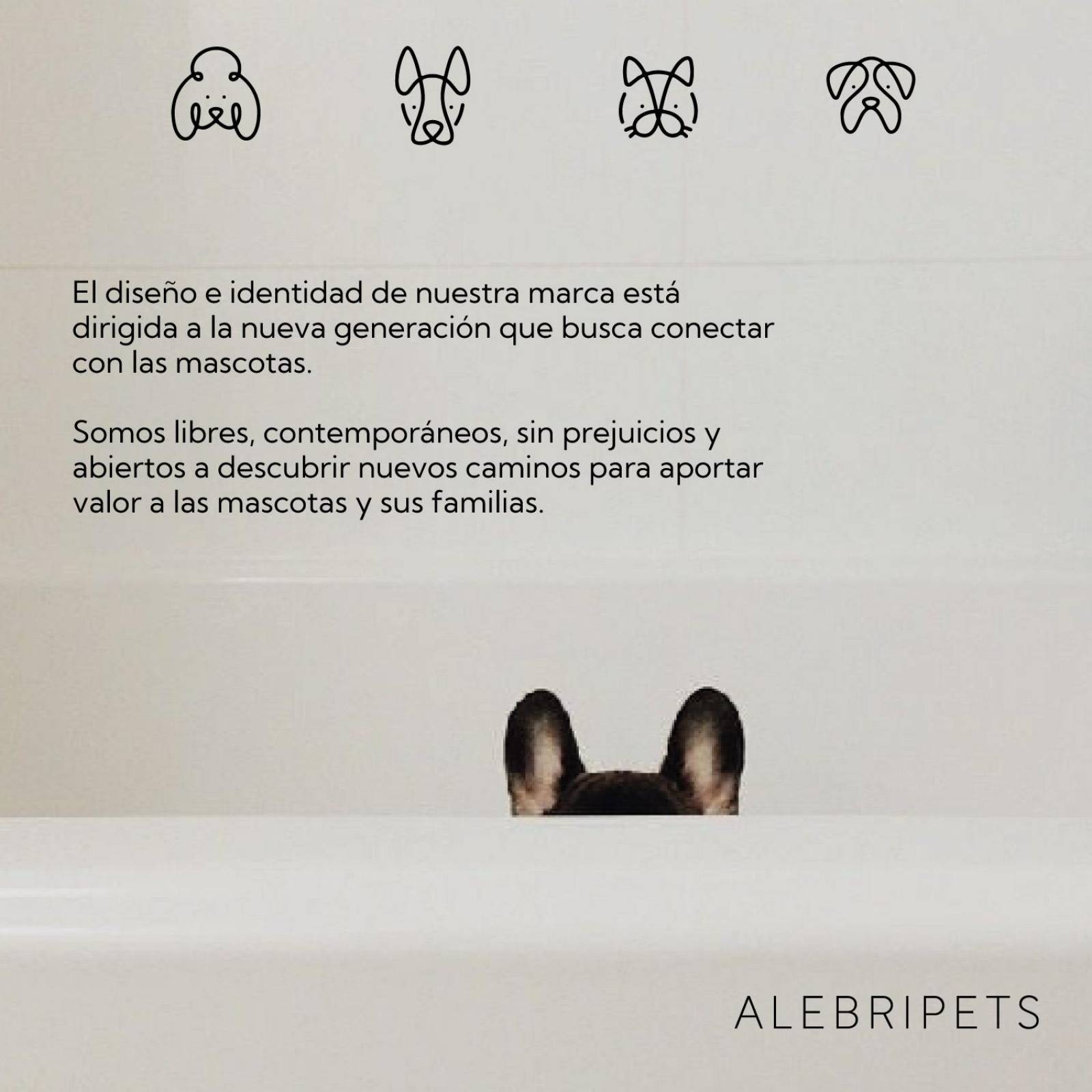 Jaula Transportadora Para Perro IATA 103x73x78 cm 