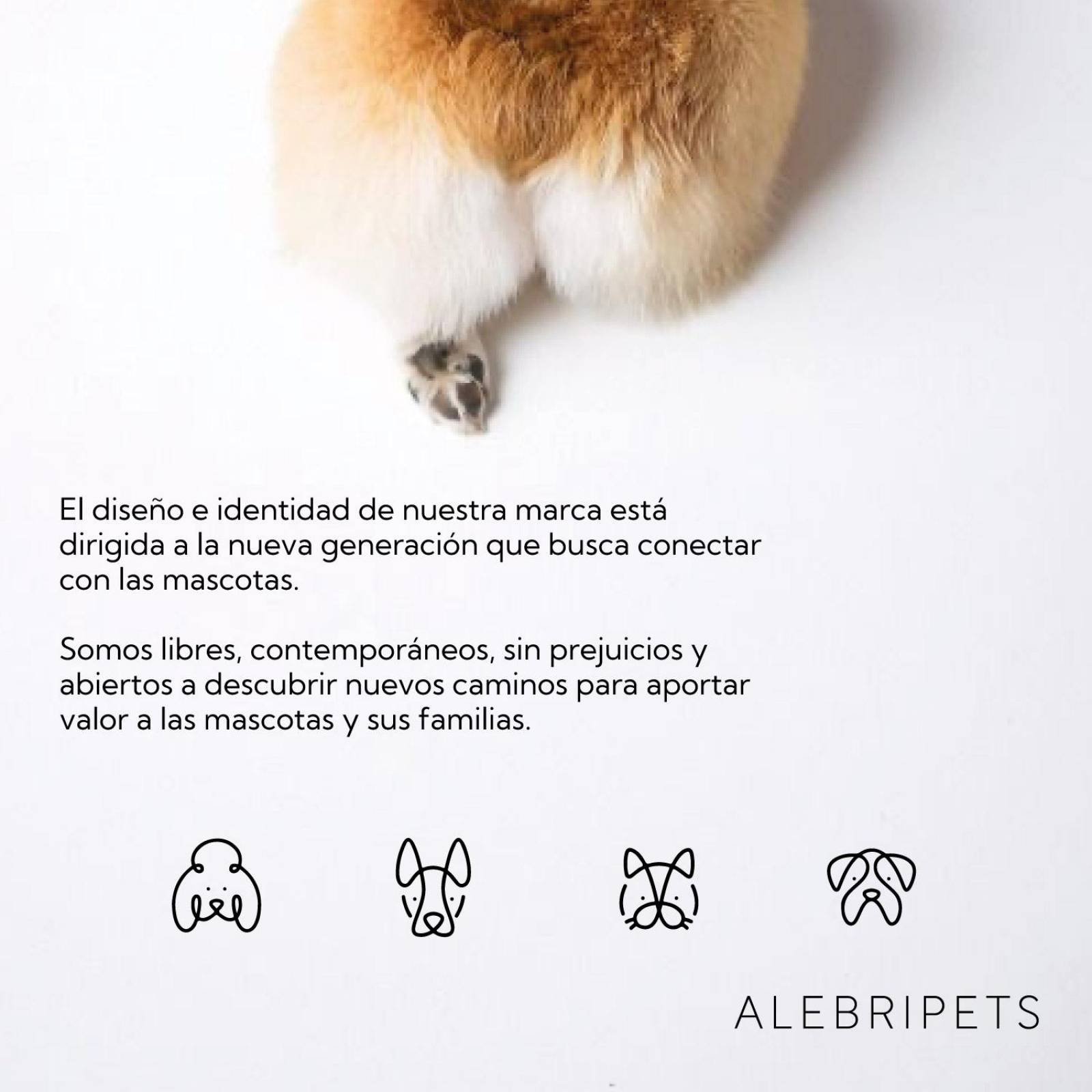 Casa Para Perro Raza Mediana 66x52x66 cm Termica Plastico 