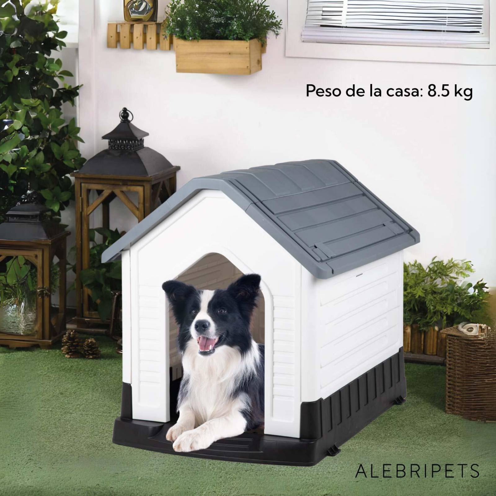 Casa Para Perro Raza Grande 76x62x76 cm Termica Plastico 