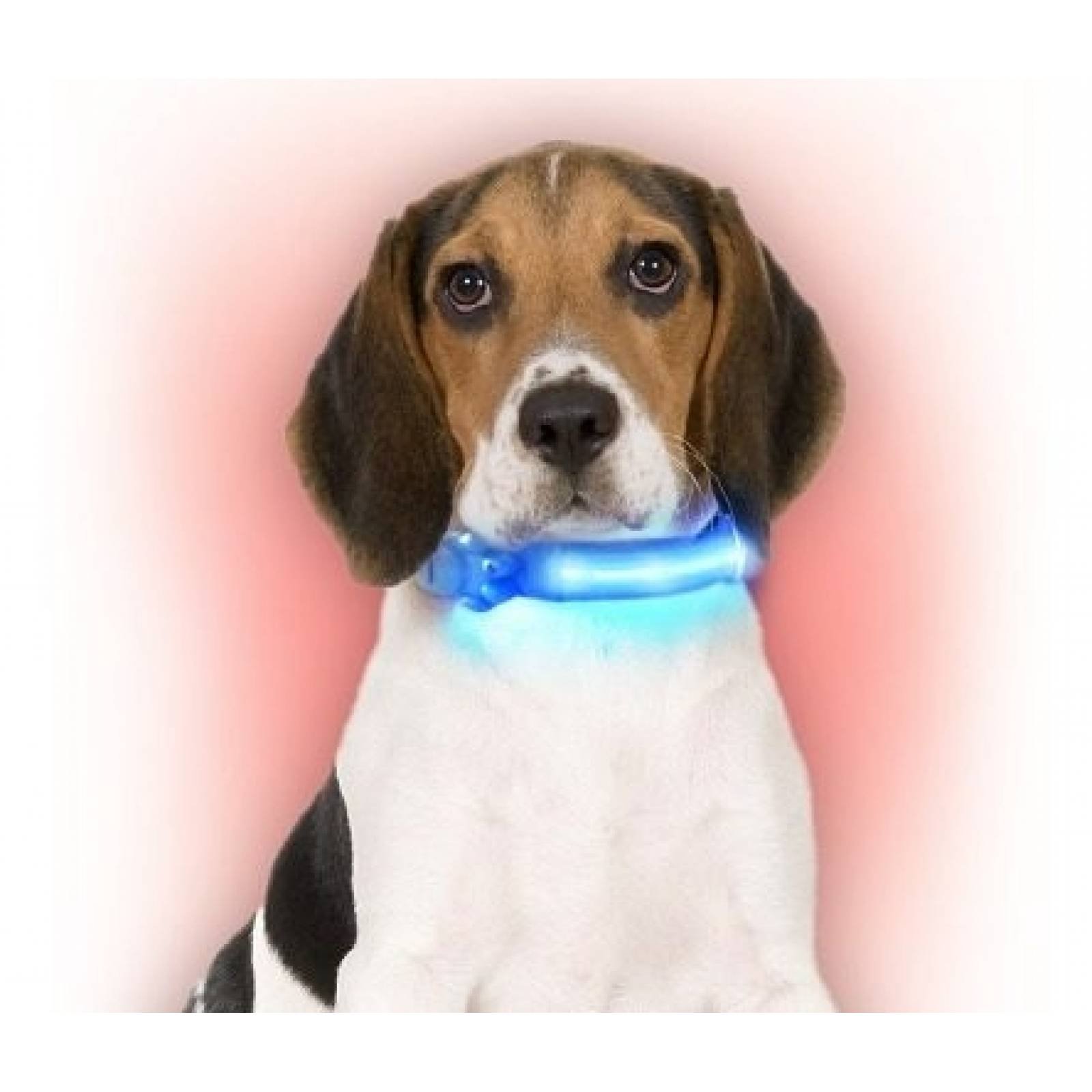 Collar para Perro Con Luz LED Osito de 52-60 cm VERDE OBI