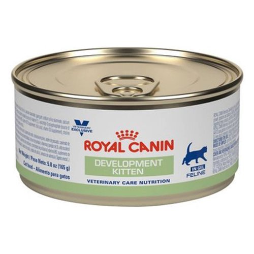 Alimento Para Gato Bebe Vitamina E Lata 165gr Royal Canin