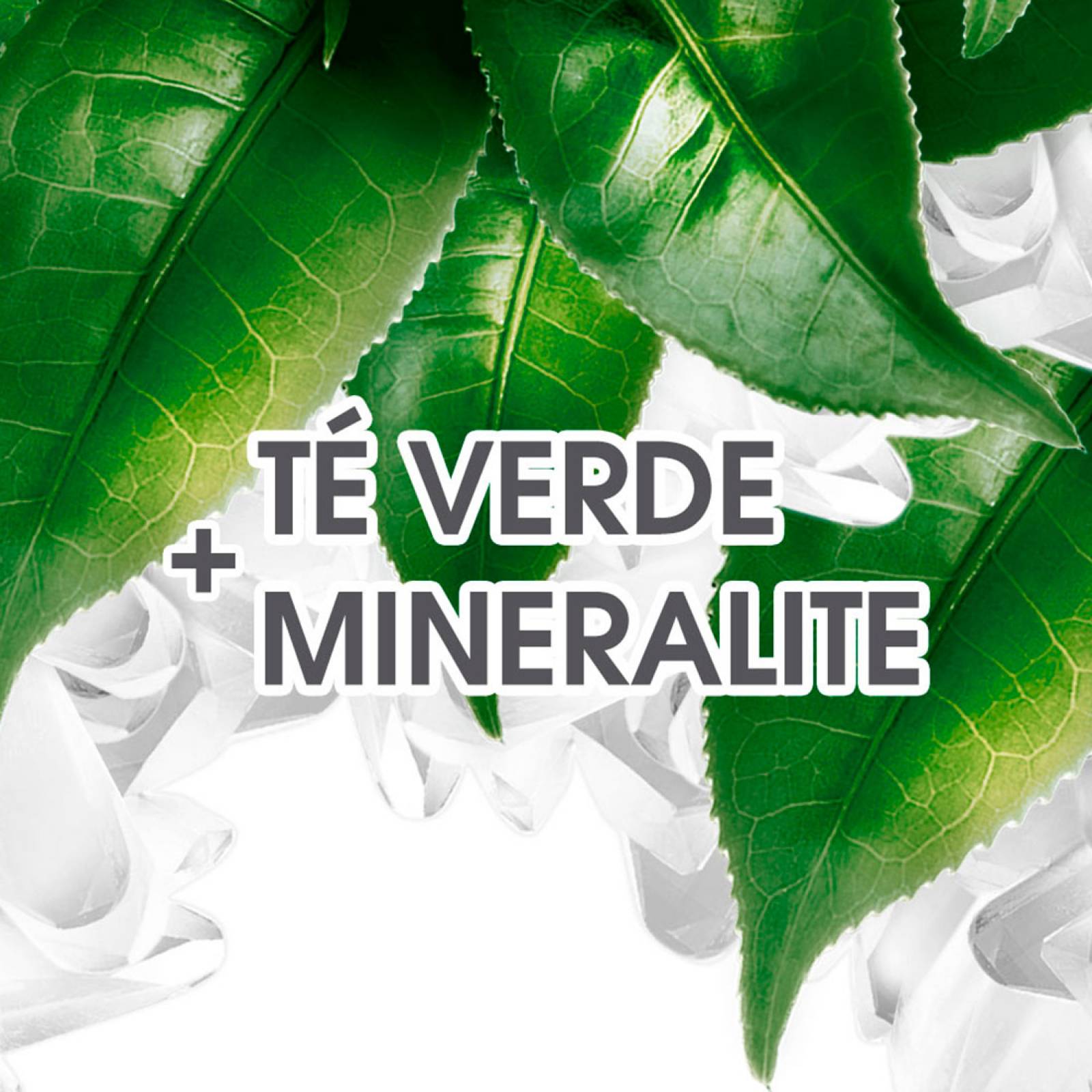 6 Pack Desodorante Spray Hombre Mujer Bio Clinical Garnier