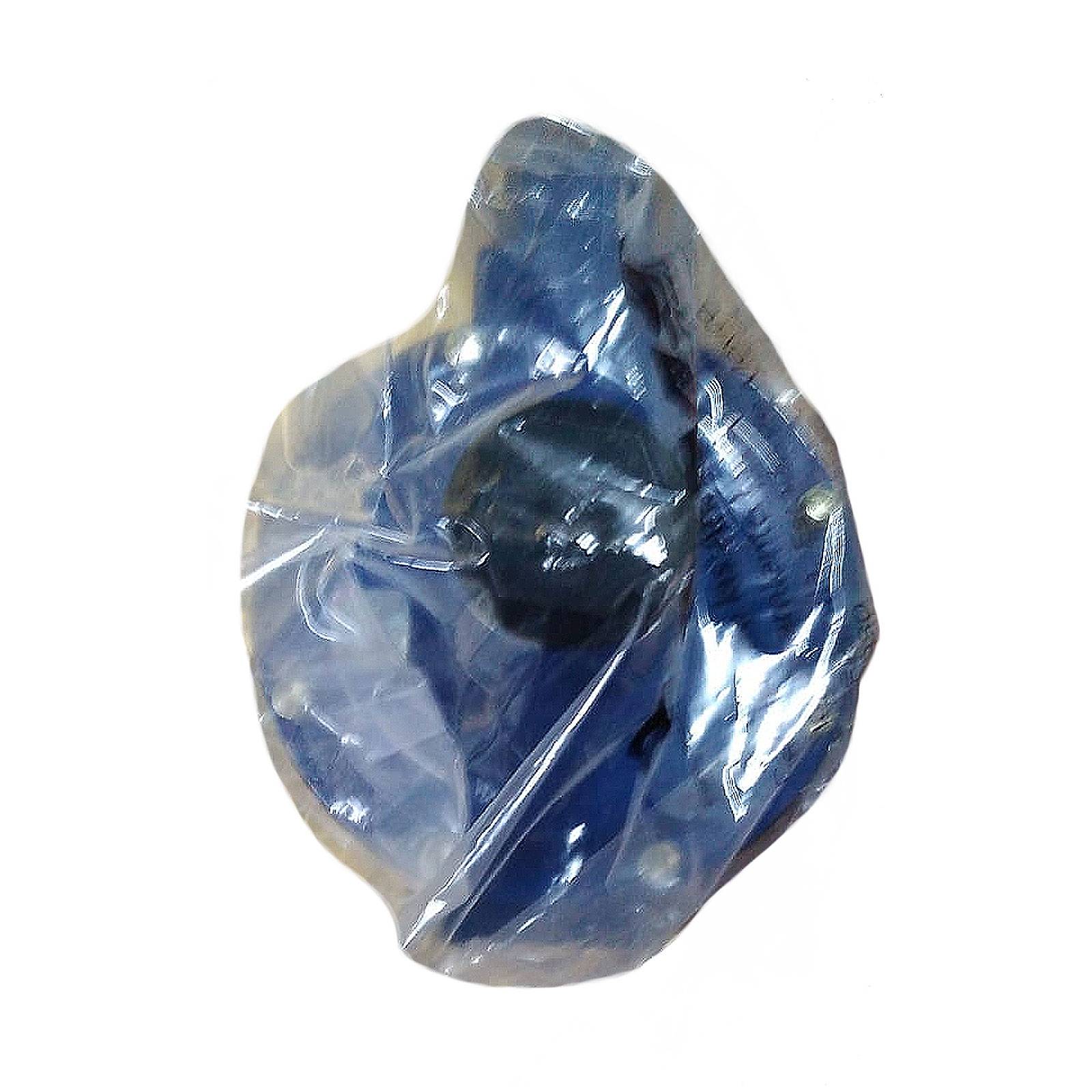 Regulador Gas LP Baja Presion Lobo GA51244149 CMS