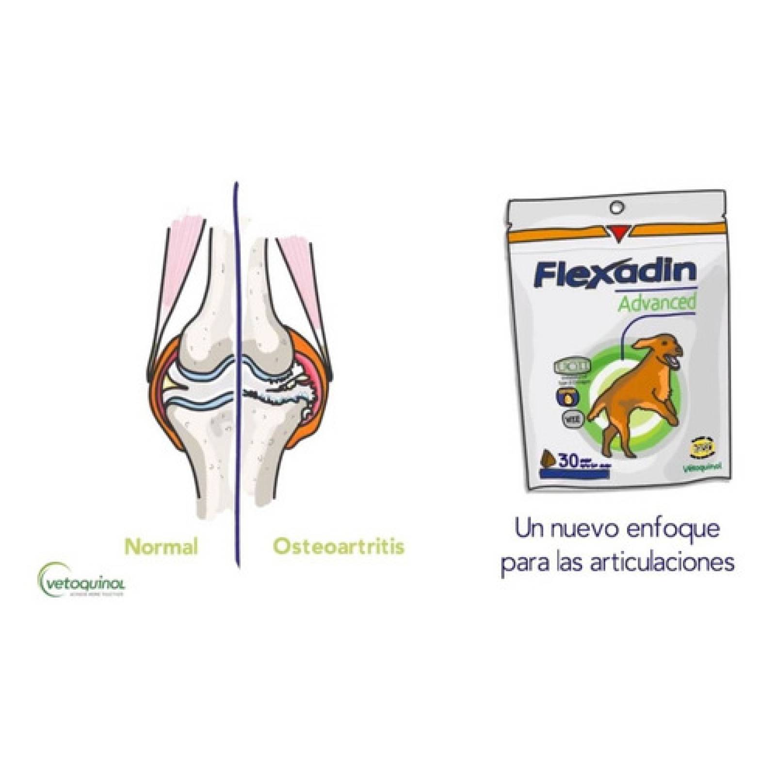 Flexadin Advance Vetoquinol 60 Premios Masticables
