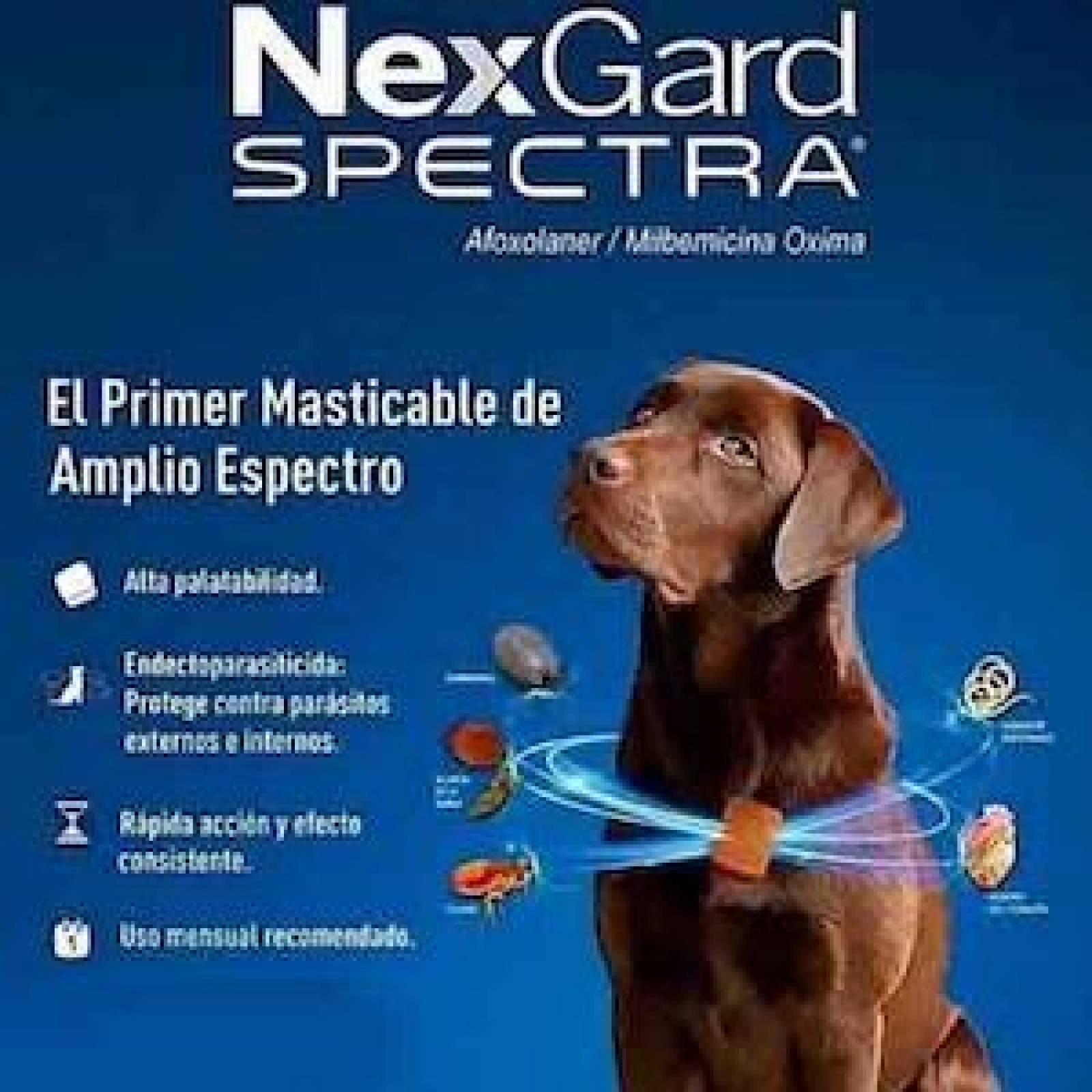 Nexgard Spectra 3 Tabletas Perros Grandes de 30 a 60kg