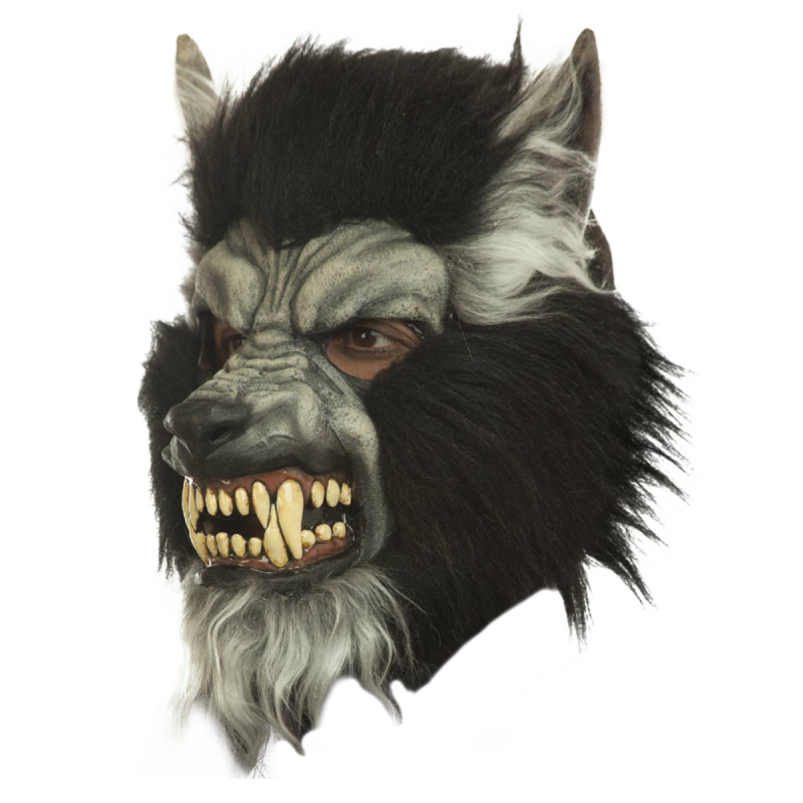 Máscara Latex Hombre Lobo Gray Howling Terror Halloween