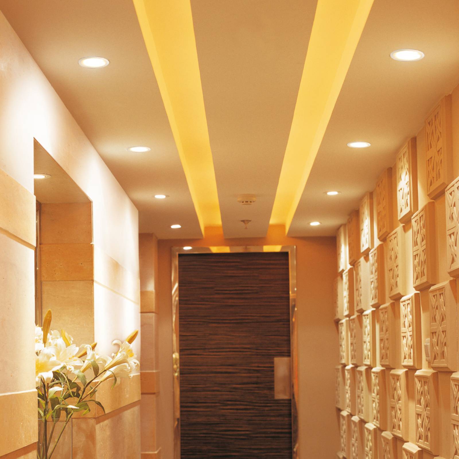 Lámpara LED WiFi 12W Techo Blancos Alexa Tecnolite Connect