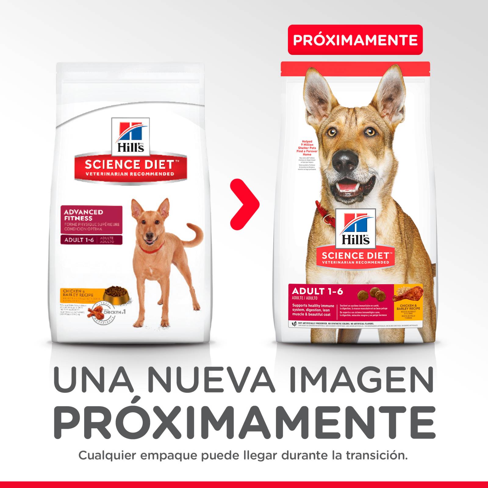 Alimento Perro Croquetas Adulto Fitness 15 kg Hills
