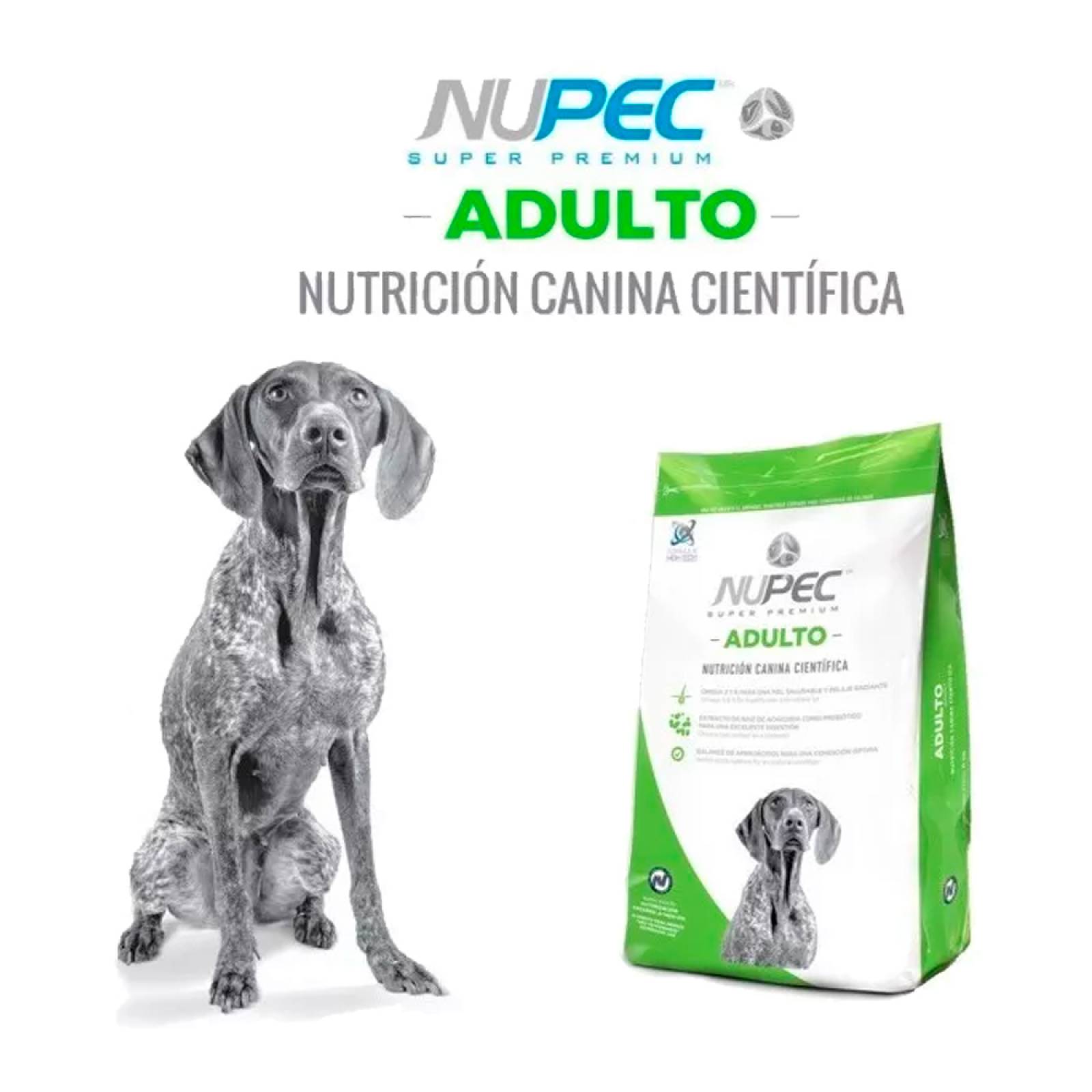 Croquetas Alimento Perro Nupec Adulto 20 Kg Nutrición