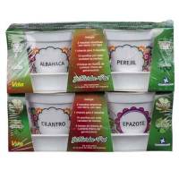 Kit De Siembra Hierba Pot Con 4 Variedades De Hierbas