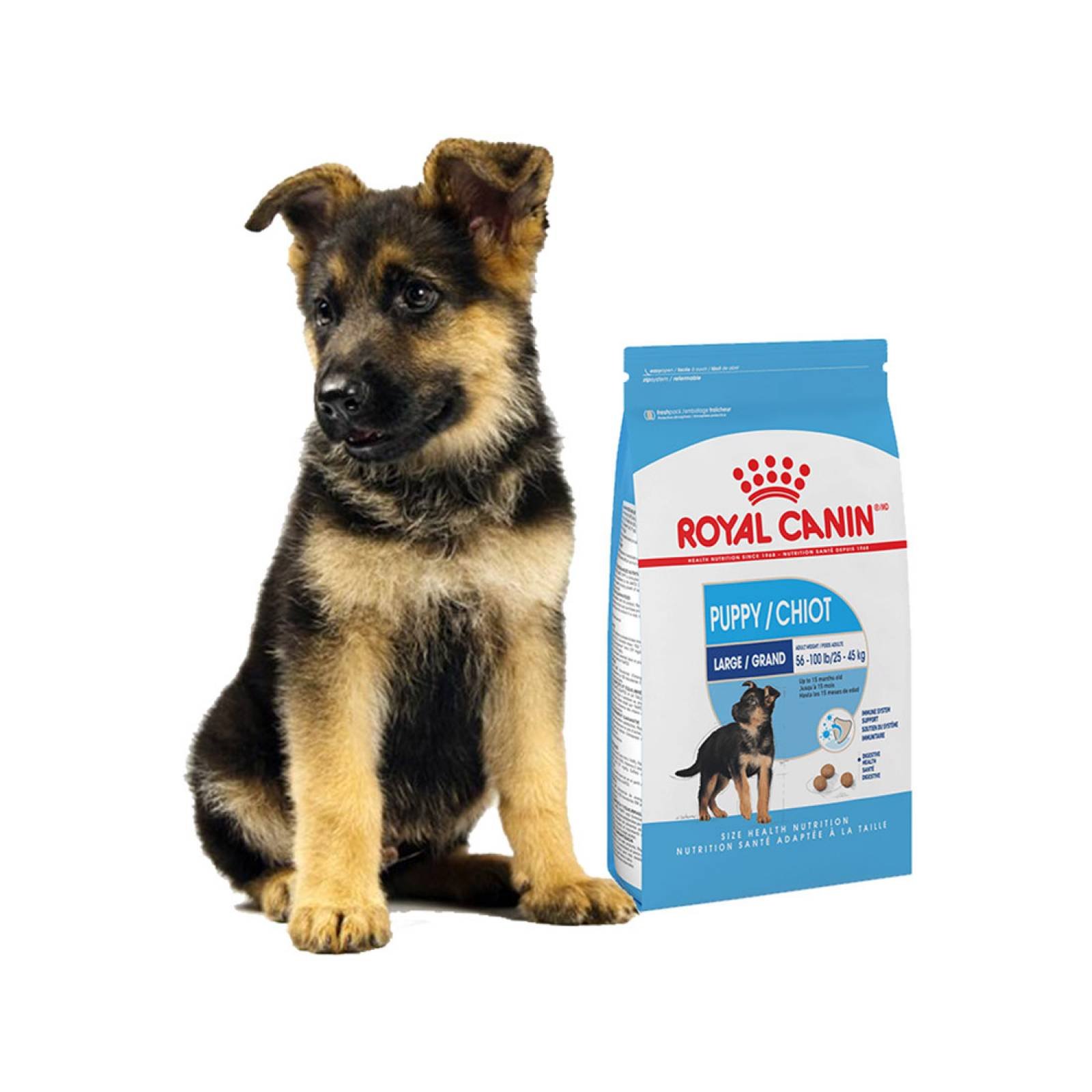Croqueta Alimento Para Perro Maxi Puppy 15.88 Kg Royal Canin