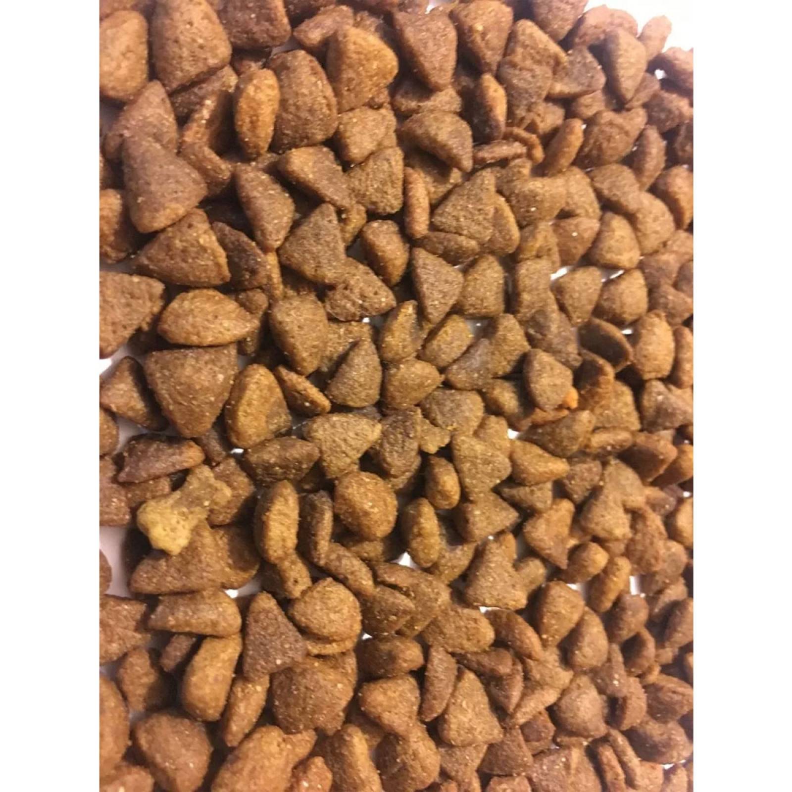 Croquetas Güesos Premium Alimento Perro Adulto 25 kg