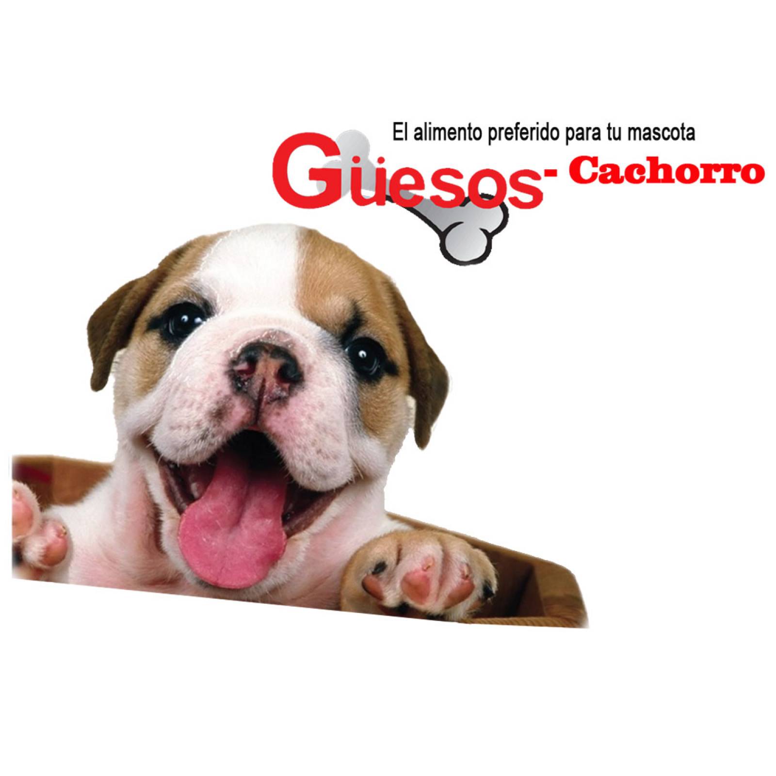 Croquetas Güesos Alimento Perro Cachorro 20 kg