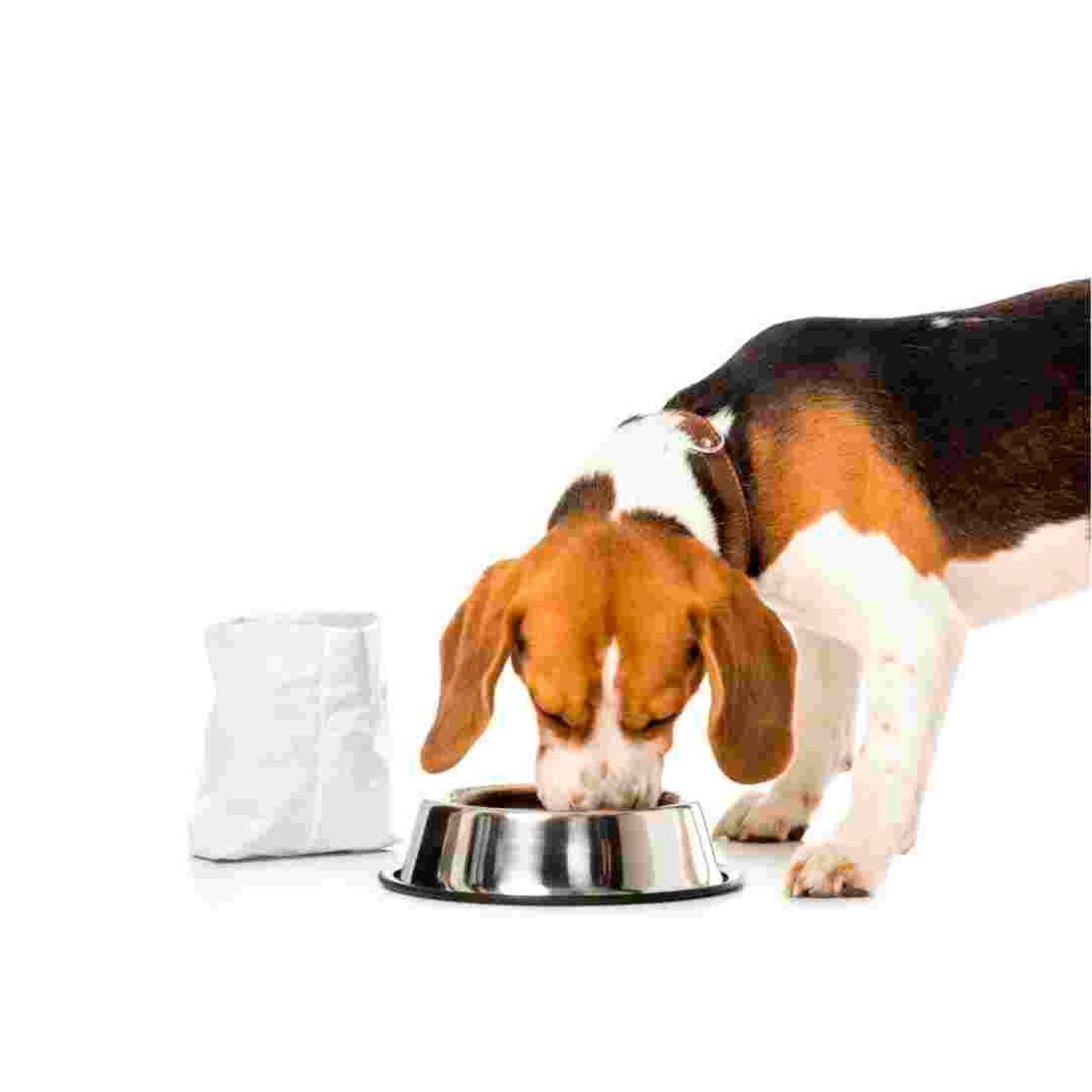 Alimento Perro Croquetas Mascotas Digestivo 3 Kg Hills