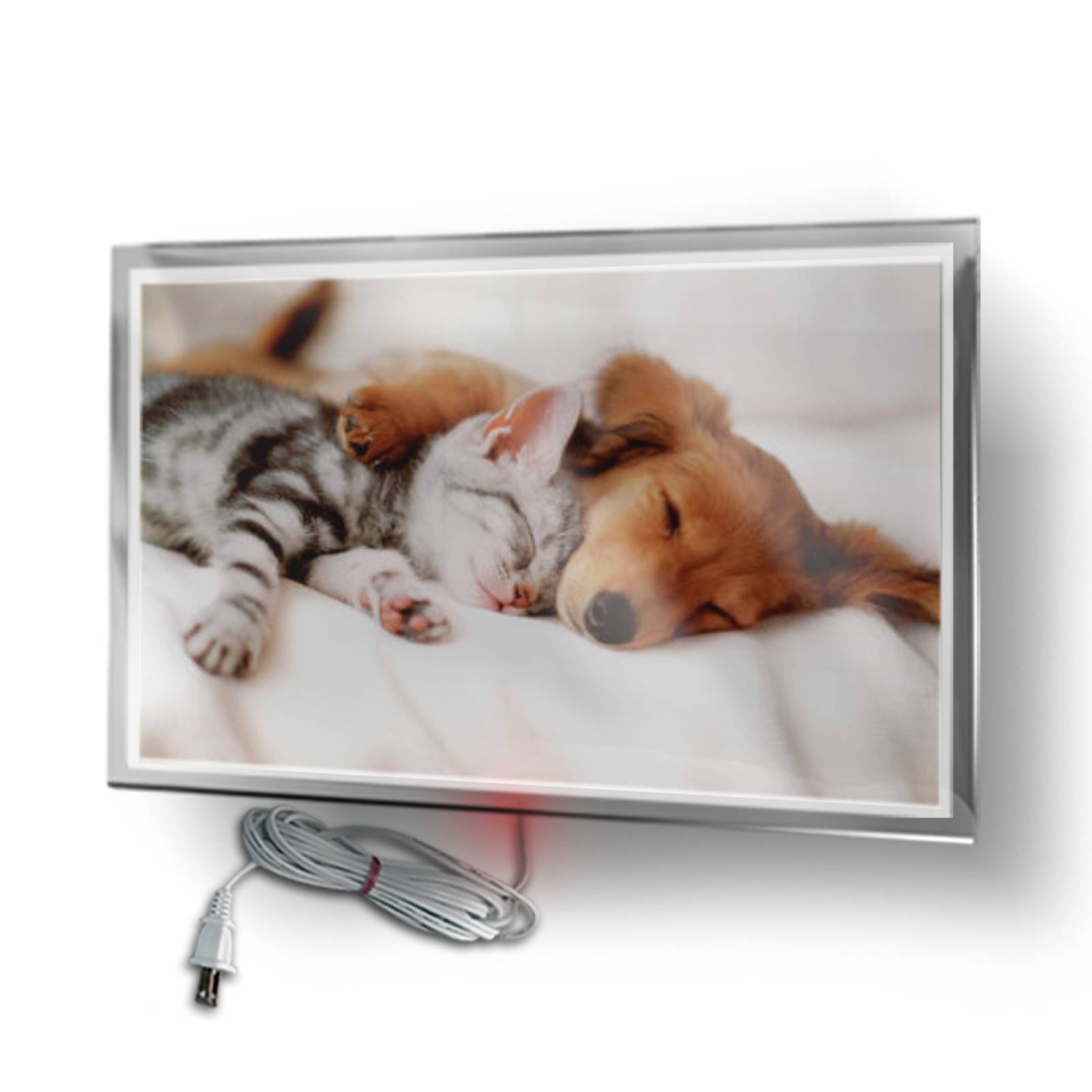 Calefactor de Panel infrarrojo en Cristal para Pared, California Wave Sleeping Puppy Kitten de 380W 60x90, Mod: 006CaSol