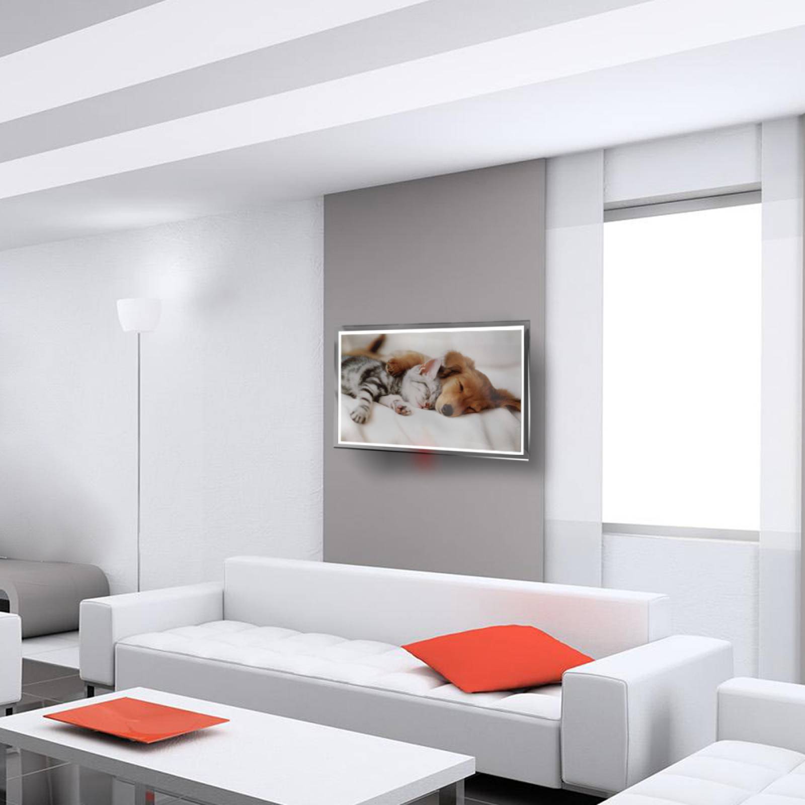 Calefactor de Panel infrarrojo en Cristal para Pared, California Wave Sleeping Puppy Kitten de 380W 60x90, Mod: 006CaSol