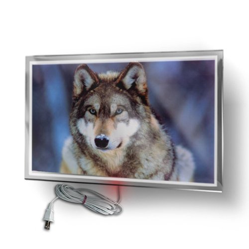 Calefactor de Panel infrarrojo en Cristal para Pared, California Wave Lobo gris de 380W 60x90cm, Mod: 053CaSol