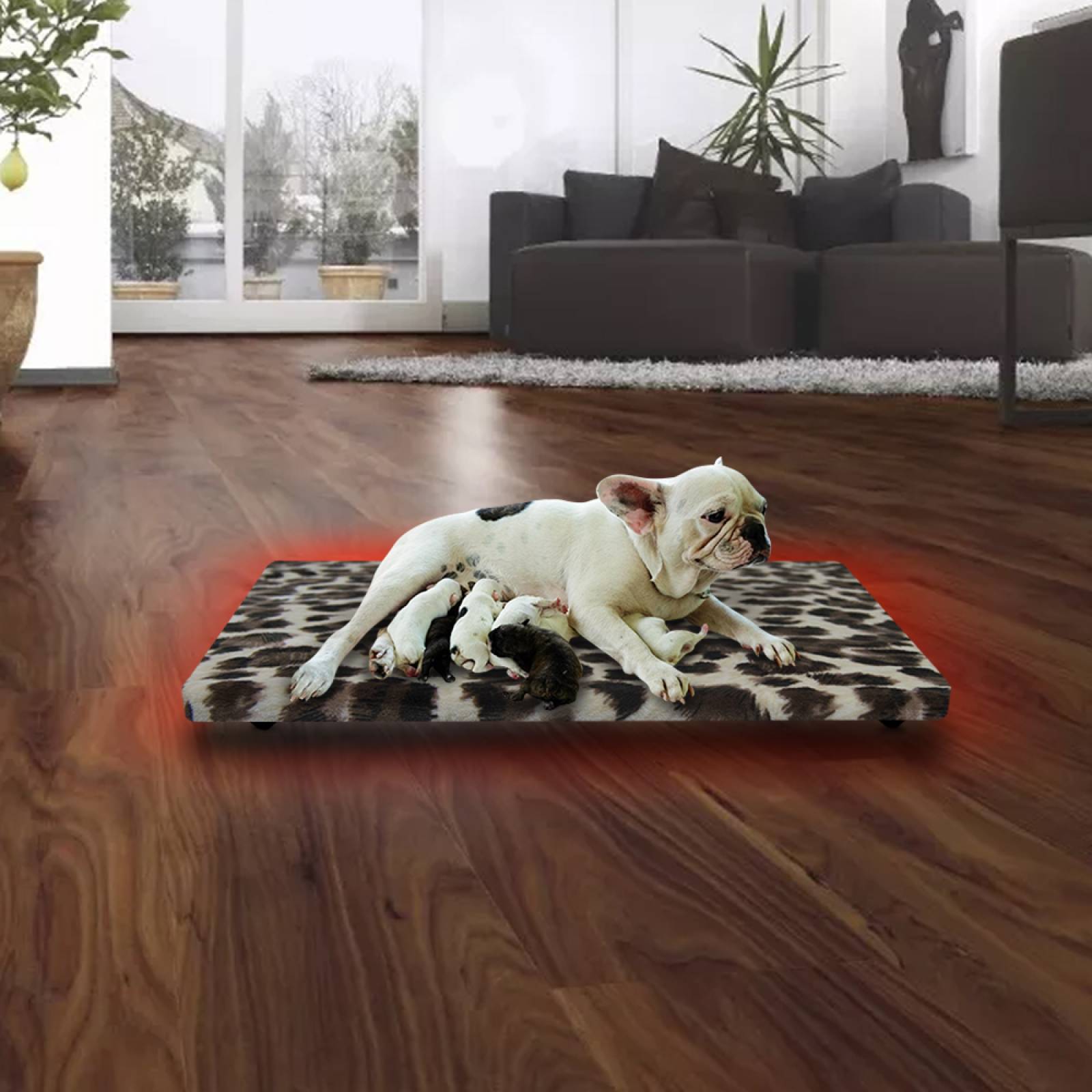 Cama Calefaccionada para Gatos y Mascotas, Pet Wave Pet Lover Black Leopard de 32/48ºC 38/76W 50x40cm, Mod: 2CSPLBL