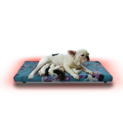 Cama Calefaccionada para Perros y Mascotas, Pet Wave Pet Lover French Dog de 32/48ºC 38/76W 50x40cm, Mod: 2CSPLFD
