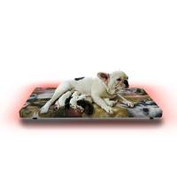 Cama Calefaccionada Para Perros Y Mascotas, Pet Wave Pet Lover Puppies De 32/48ºC 38/76W 50X40Cm, Mod: 2Csplpu