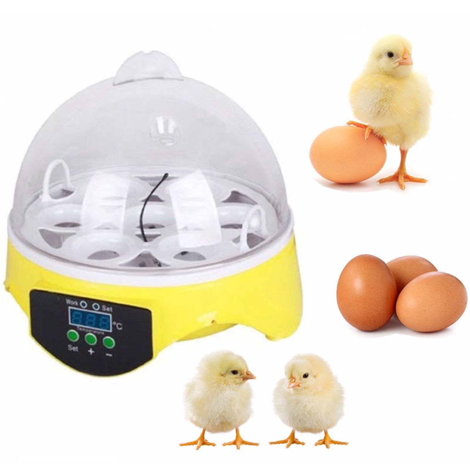 Mini Incubadora 7 Huevos Gallina Pato Aves