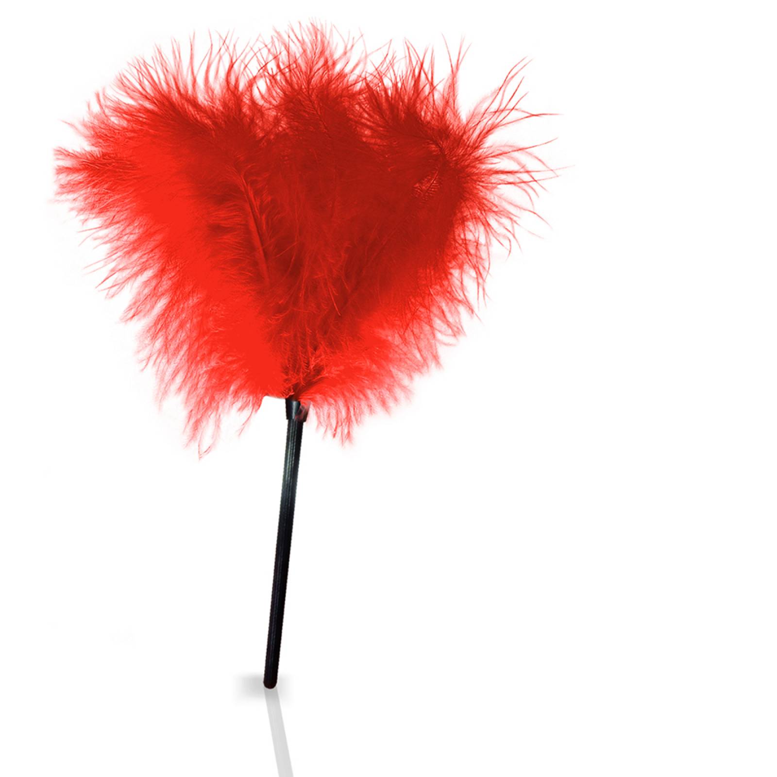 Plumero de Marabu de 20 cm Rojo, Mod: 1168Rj