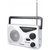 Radio de onda corta VEILOND portable AM FM -Blanco
